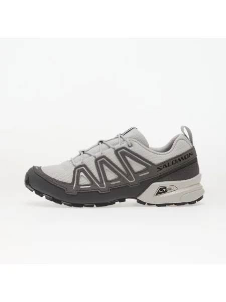 Кросівки Salomon Advanced срібні
