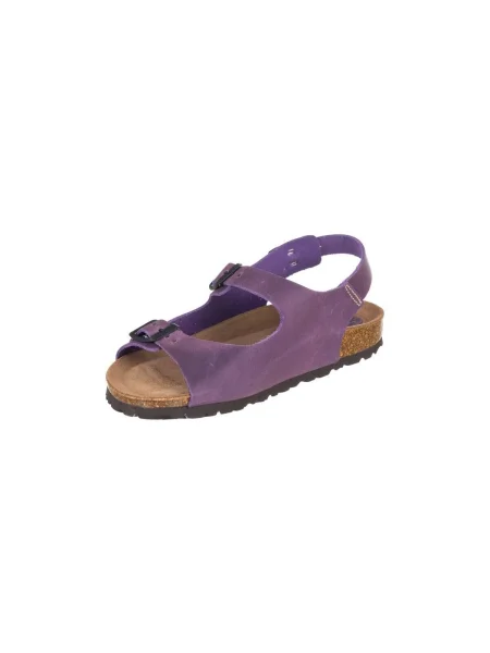 Pantofi Interbios violet