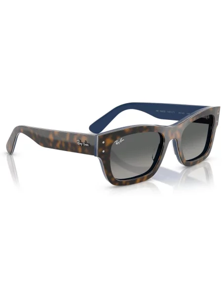 Hodinky & Bižuterie Ray-ban Joseph Unisex černé
