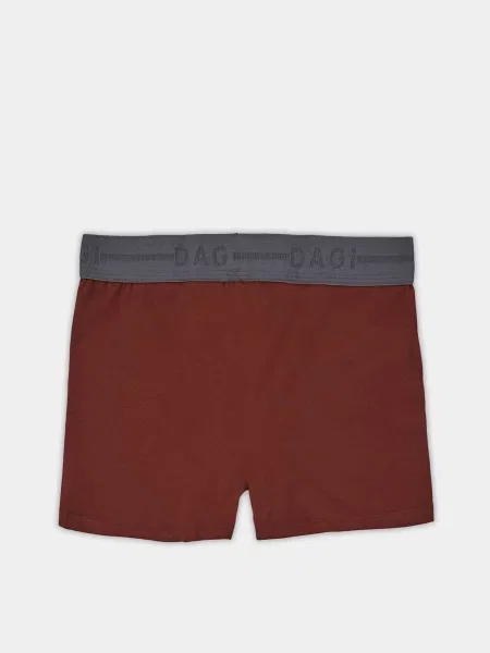 DAGI Труси Темно-коричневий коричневі