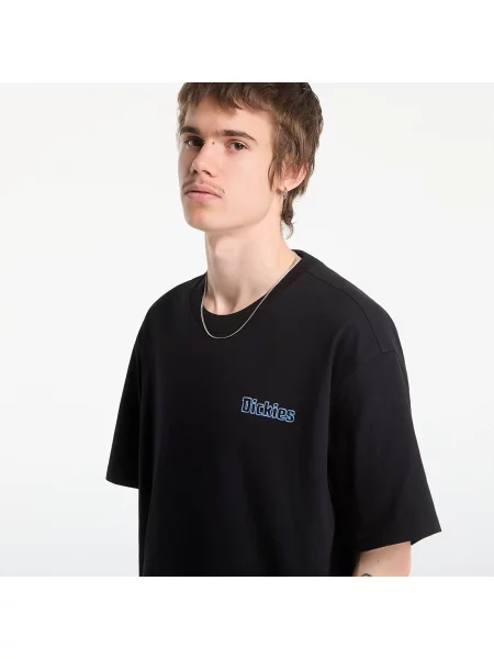Tričko Dickies Fairlawn Ss Tee Black S černé