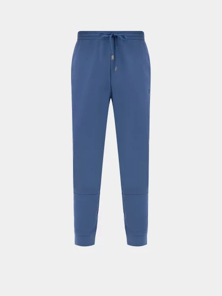 Спортивные штаны Arena синие