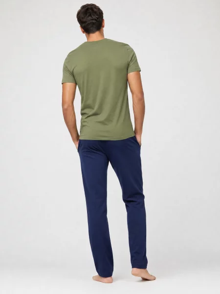 Polo Ralph Lauren tricou din verde
