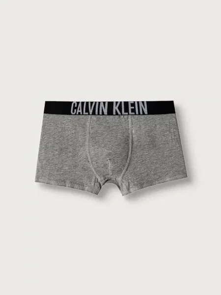 Calvin Klein Underwear testhezálló boxeralsó gyerek elasztánnal csomag szürke