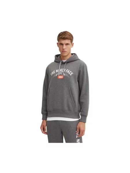 Bluza z kapturem The North Face z kapturem szara
