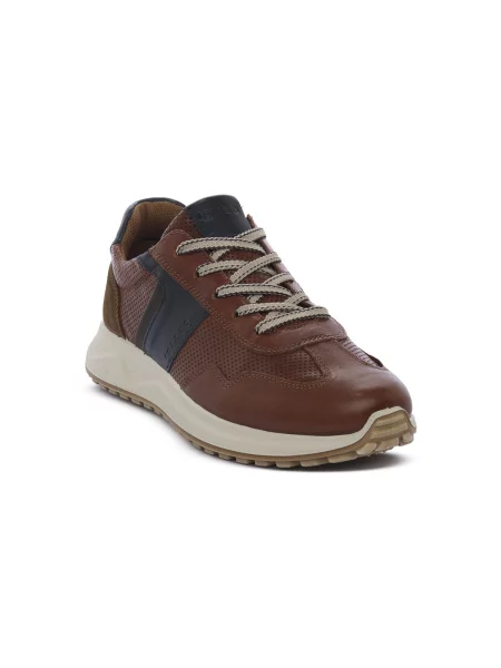 Pantofi Igi&co maro