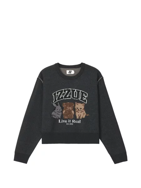 Pulover Izzue cu decolteu rotund gri