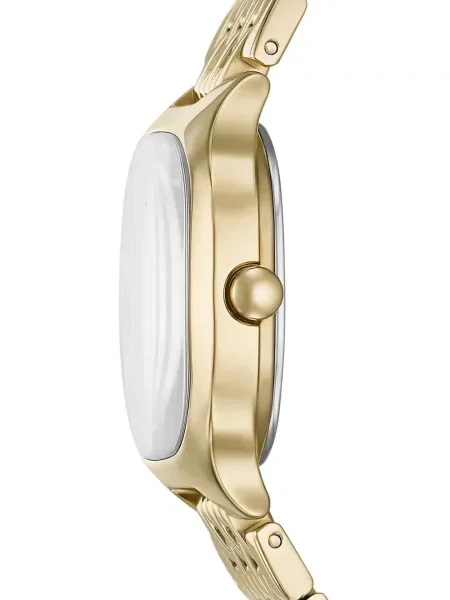 Ceas Skagen
