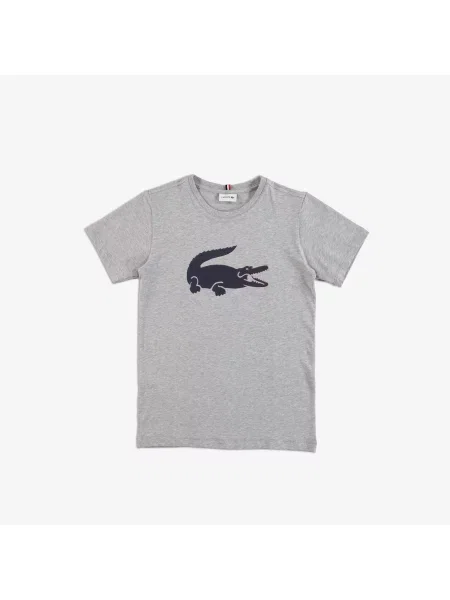 Футболка Lacoste.com серая