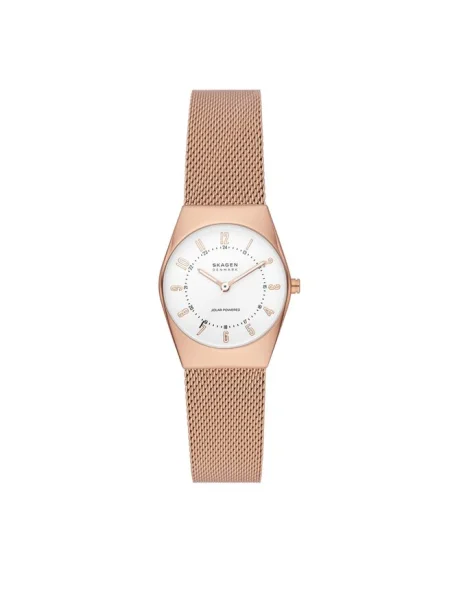 Ceas Skagen auriu