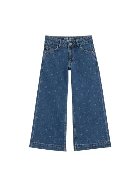 WE Fashion Jeans denim albastru