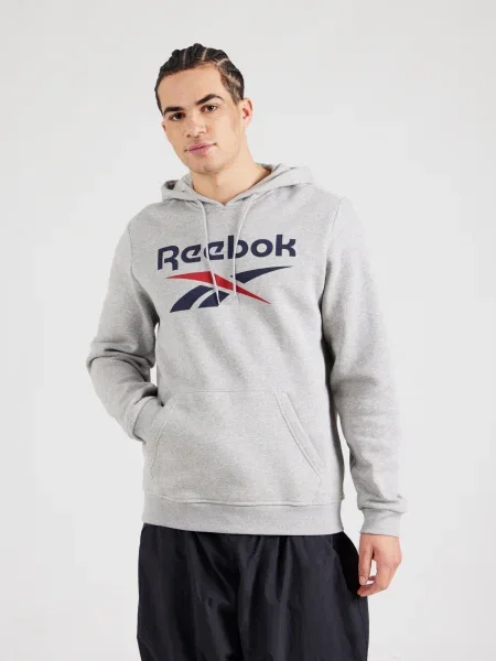 Pánska mikina Reebok Identity Big Logo Fleece Hoodie medium grey heater/vector navy/vector red sivá