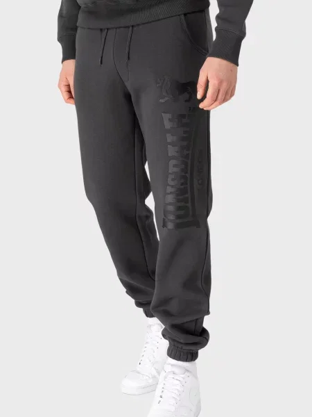 Штани Lonsdale сірі