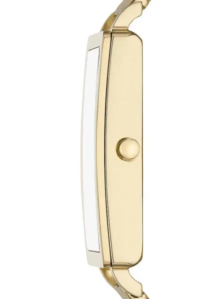 Ceas Skagen