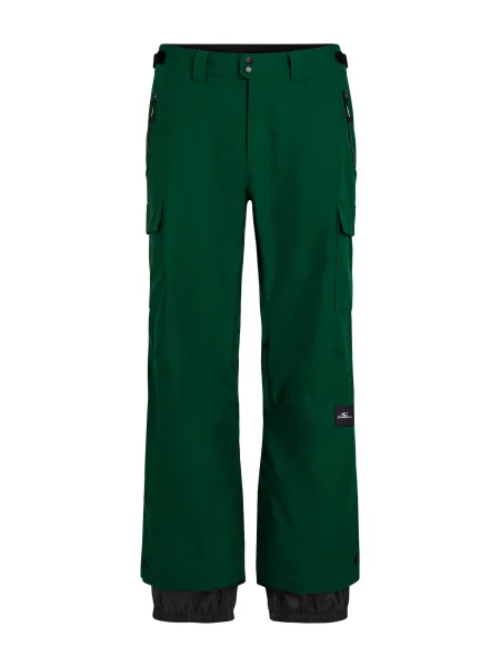 O'NEILL Pantaloni outdoor pin verde