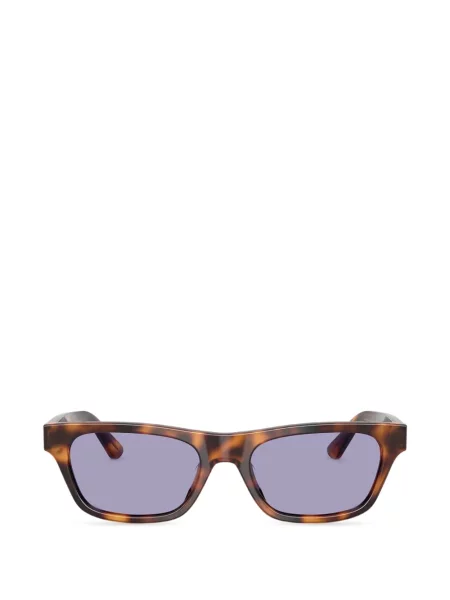 Ochelari de soare Polo Ralph Lauren Eyewear maro