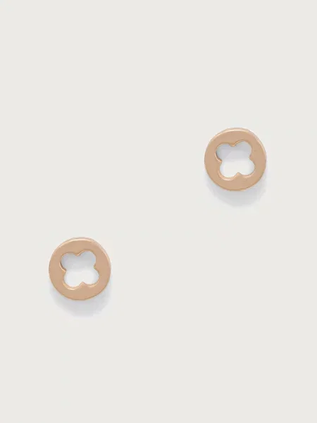 Серьги Aldo