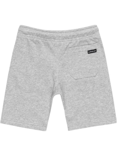 Šortky Quiksilver sivá
