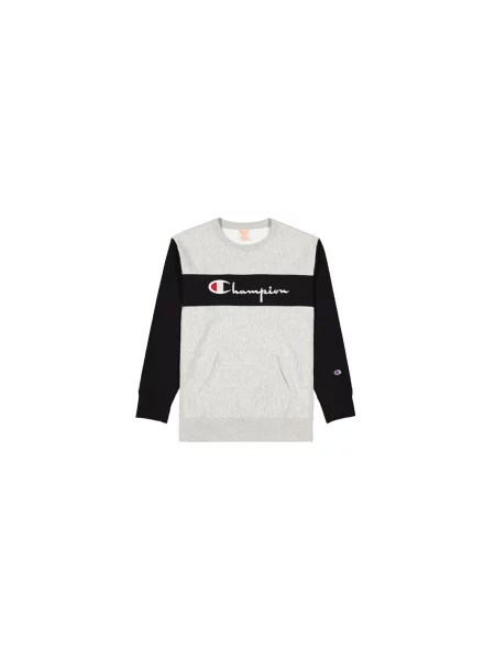 Champion Colour Block Kangaroo Pocket Reverse Weave Sweatshirt Mężczyźni Bluzy i bluzy z kapturem Champion Size: M szary