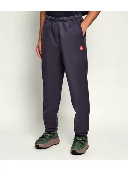 The North Face Pantaloni de trening M TNF gri