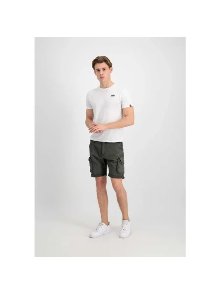 Krótkie szorty Alpha Industries szare