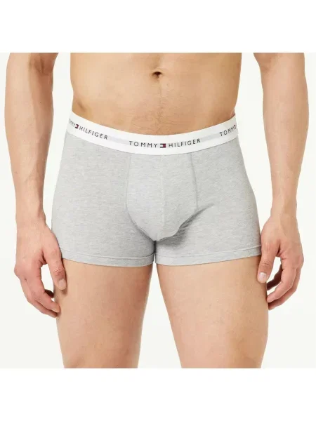 Szorty Tommy Hilfiger