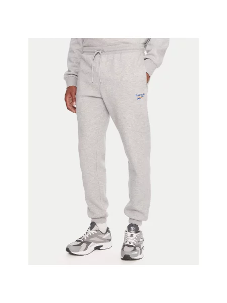 Reebok Sportinės kelnės Regular Fit pilka