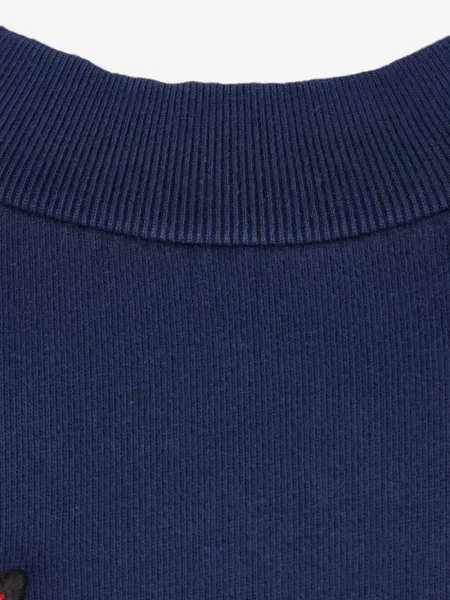 Hanorac crewneck Cherry World albastru