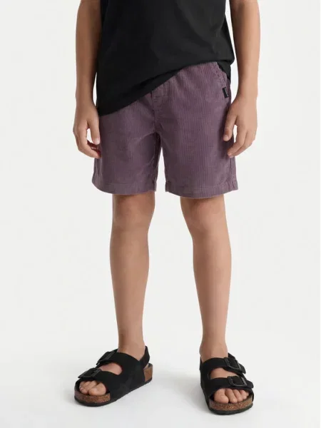 Quiksilver Шорти от плат Taxer Cord виолетов