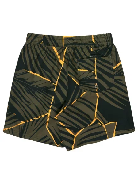 Szorty kąpielowe dla Chłopcy EVERYDAY PRINTED VOLLEY zielony