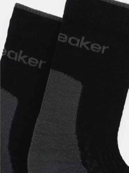 Шкарпетки з додаванням вовни Icebreaker Merino Hike+ чорний