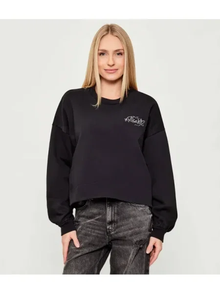 AllSaints Hanorac REEL LILA | Oversize fit negru