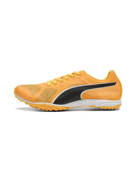 PUMA Buty do biegania unisex evoSPEED Haraka 8 bez kolców Buty 36 pomarańczowy