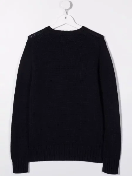 Sweter dziecięcy Polo Ralph Lauren niebieski