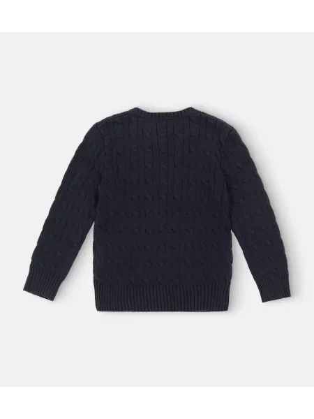 Πουλόβερ Polo Ralph Lauren μπλε
