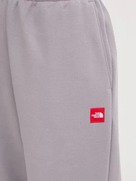 Спортивные штаны The North Face