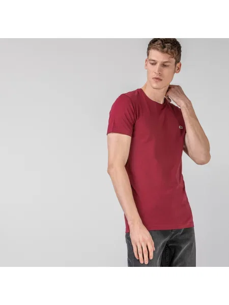 Lacoste футболка чоловіча