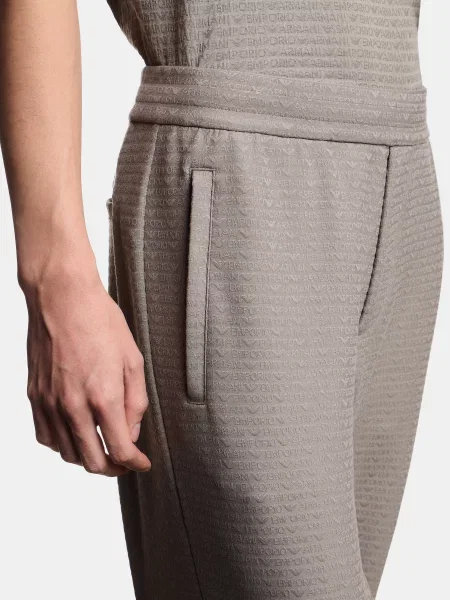 Джоггеры Emporio Armani серые