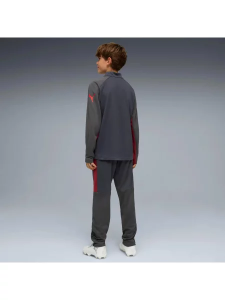 Dres dla dzieci Puma Individualliga Tracksuit Jr niebieski