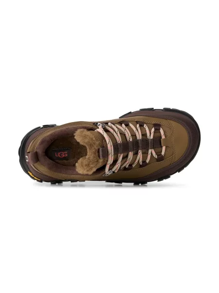 Кросівки Ugg