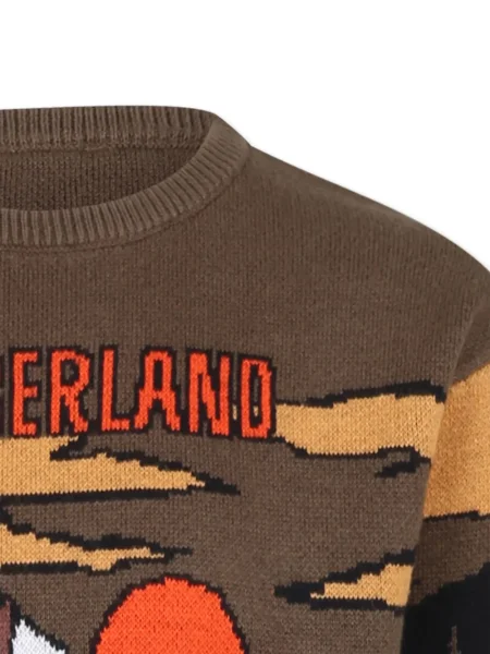Sweter dziecięcy Timberland zielony