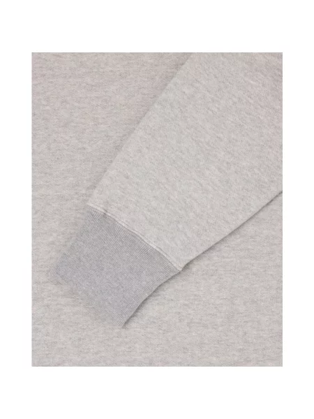 Bluza z kapturem Edwin z kapturem szara
