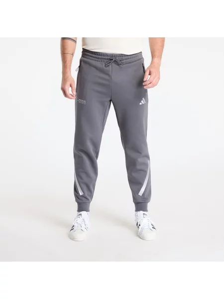 Adidas Tepláky Mercedes Amg Petronas Formula One Team Silver Arrows šedá