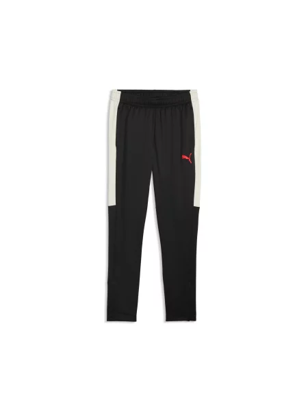 PUMA spodnie treningowe individualLIGA Akcesoria S czarny