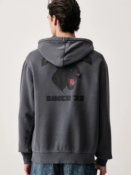 Dickies bluza z kapturem z bawełną szara