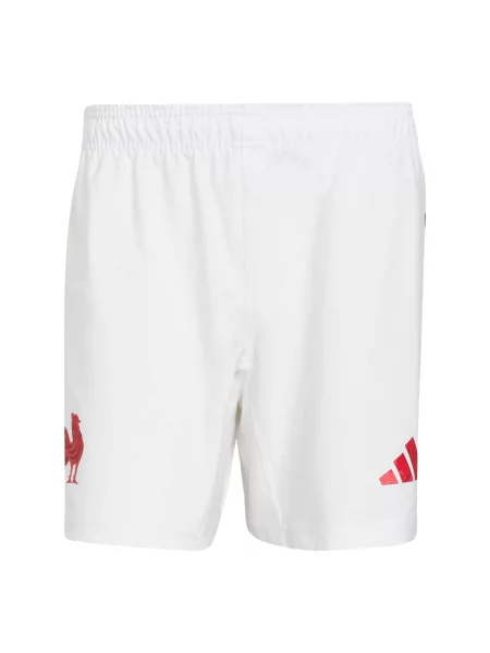 ADIDAS PERFORMANCE Sportovní kalhoty Frankreich námořnická modř / ohnivá červená bílá