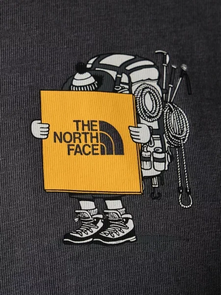Футболка The North Face