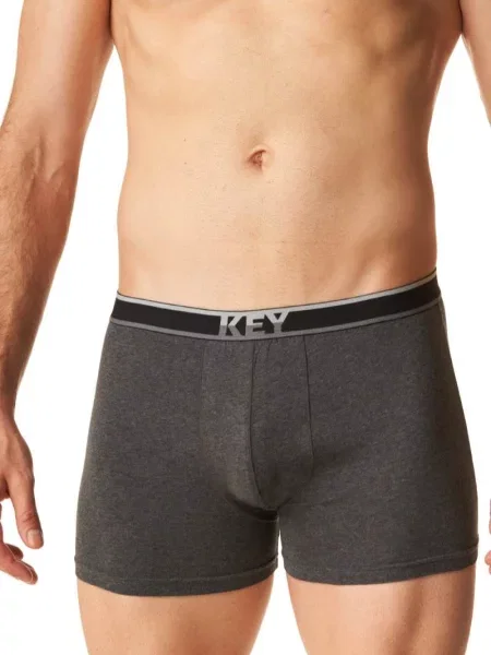 Боксеры Key серые