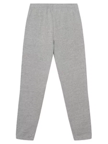 The North Face Sportinės kelnės Evolution Simple Dome pilka