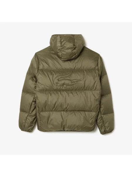 Lacoste Kurtka zielony